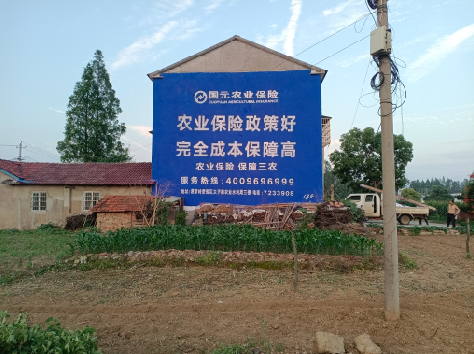 宝丰墙体广告的优劣势你知道吗？